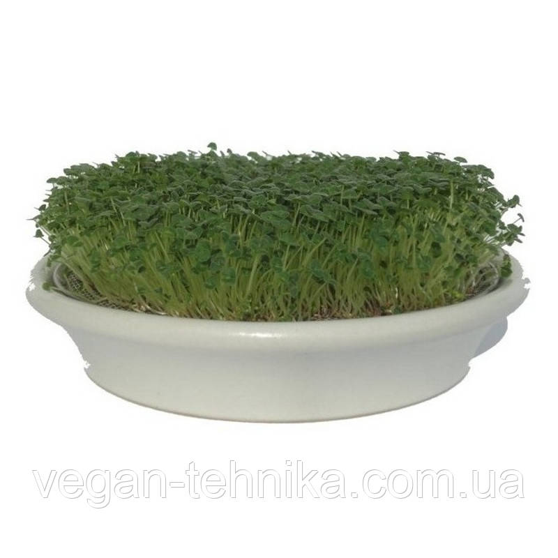 Проращиватель Eschenfelder для семян микрозелени, 21.5 см - фото 1 - id-p52690191