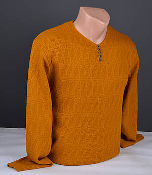 Чоловічий пуловер  Vip Stendo