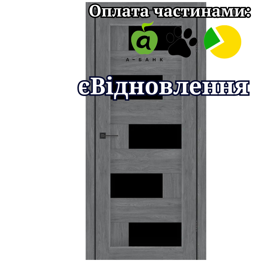 Двері Palmira Бук Графітовий зі склом Чорний