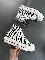 Converse all star zebra sale