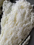 Аспарагус стабілізований білий (80 гр), фото 2