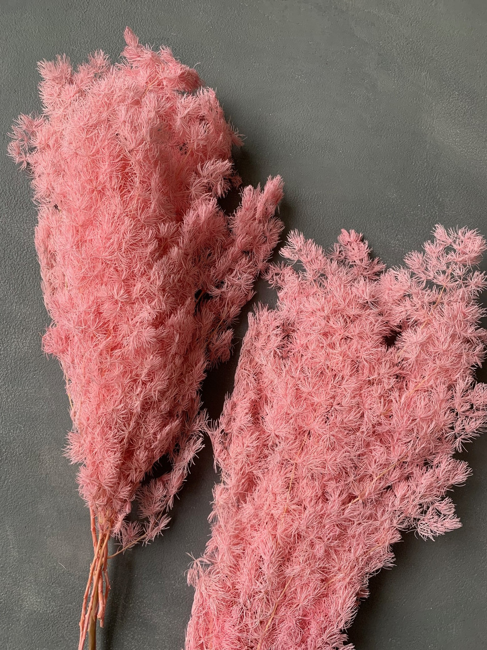 Аспарагус стабілізований рожевий ( 80 гр )