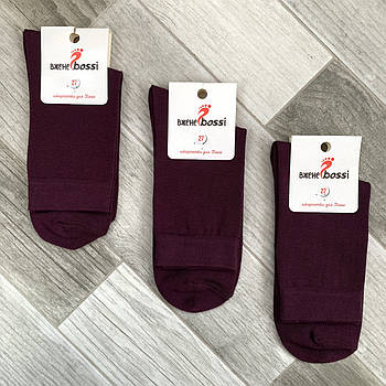 Шкарпетки чоловічі демісезонні бавовна ВженеBOSSі, розмір 31 (45-46), чорничні, 11032