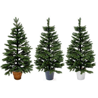 Ялинки біля горщиків