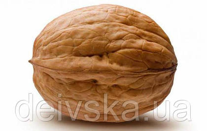 Олія з волоського горіха: Всебічна користь для здоров'я