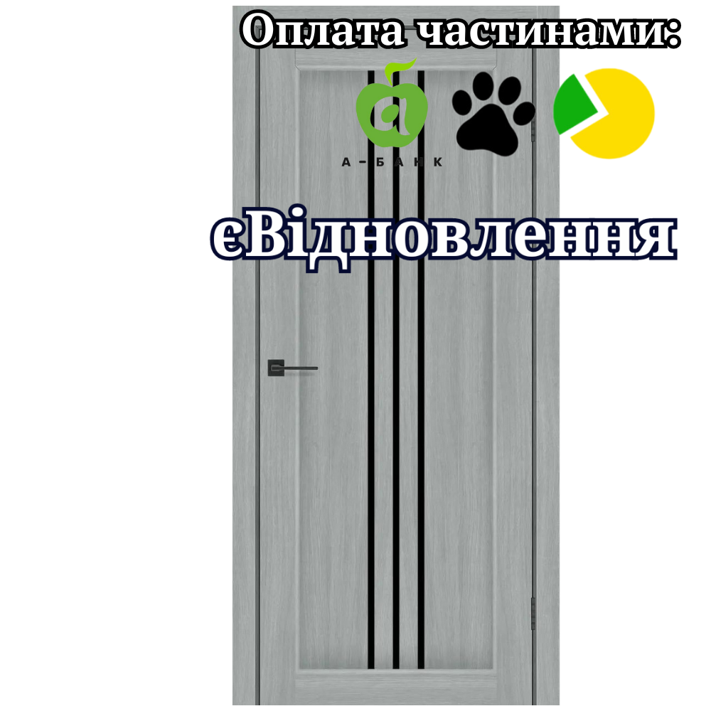 Двері Petra Альба Попелястий зі склом Чорний