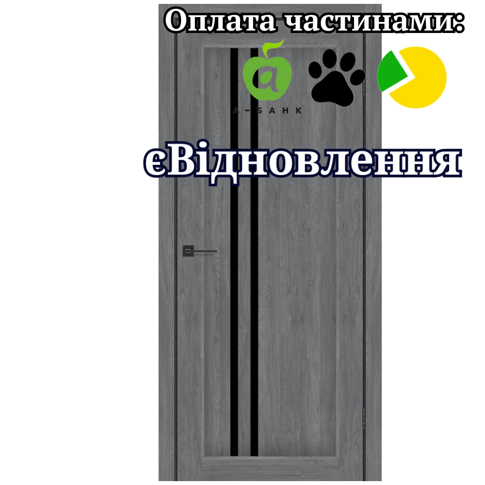 Двері Prague Бук Графітовий зі склом Чорний