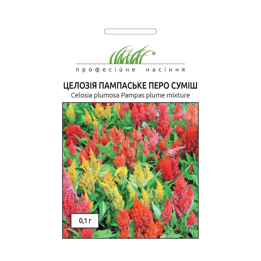 Целозія периста Блискуче перо, суміш насіння (Hem Zaden) 0.1 г