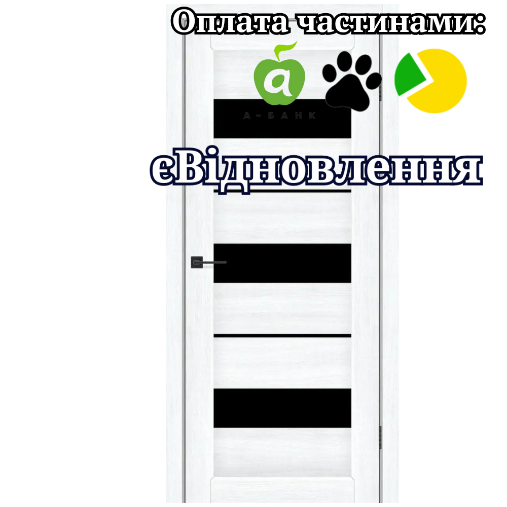 Двері Secret Альба Білий зі склом Чорний