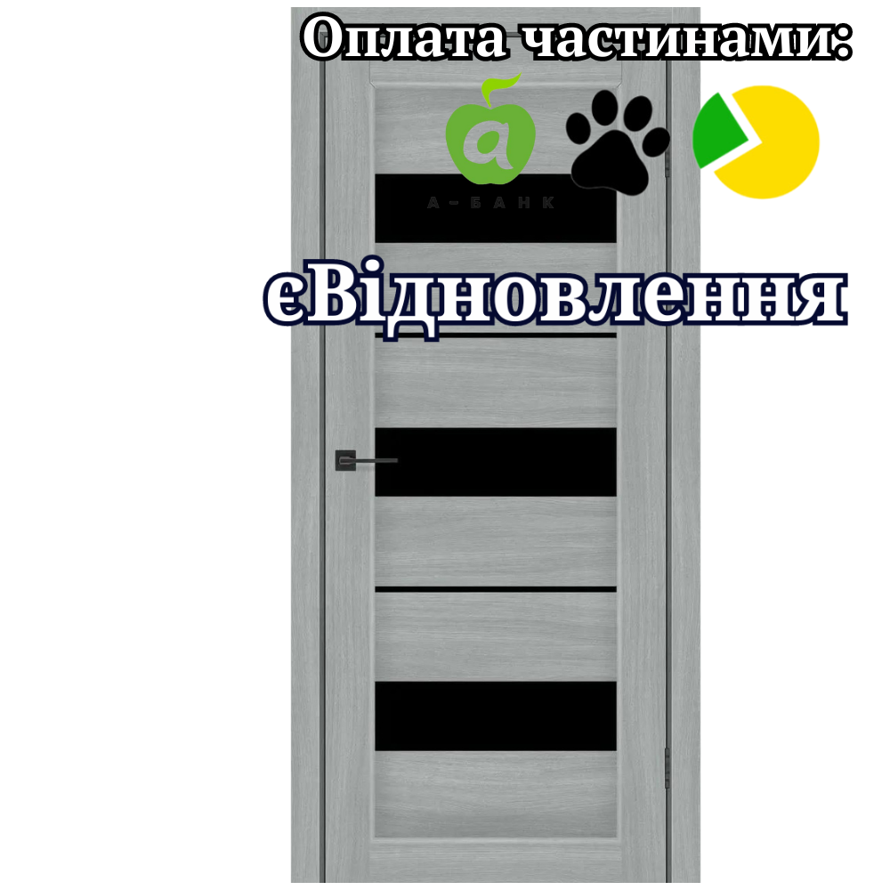 Двері Secret Альба Попелястий зі склом Чорний, фото 1