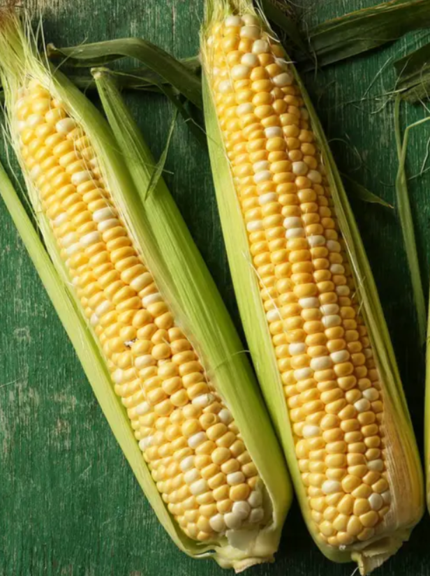 Насіння Кукурудза цукрова "Камберленд"F1 20 г.