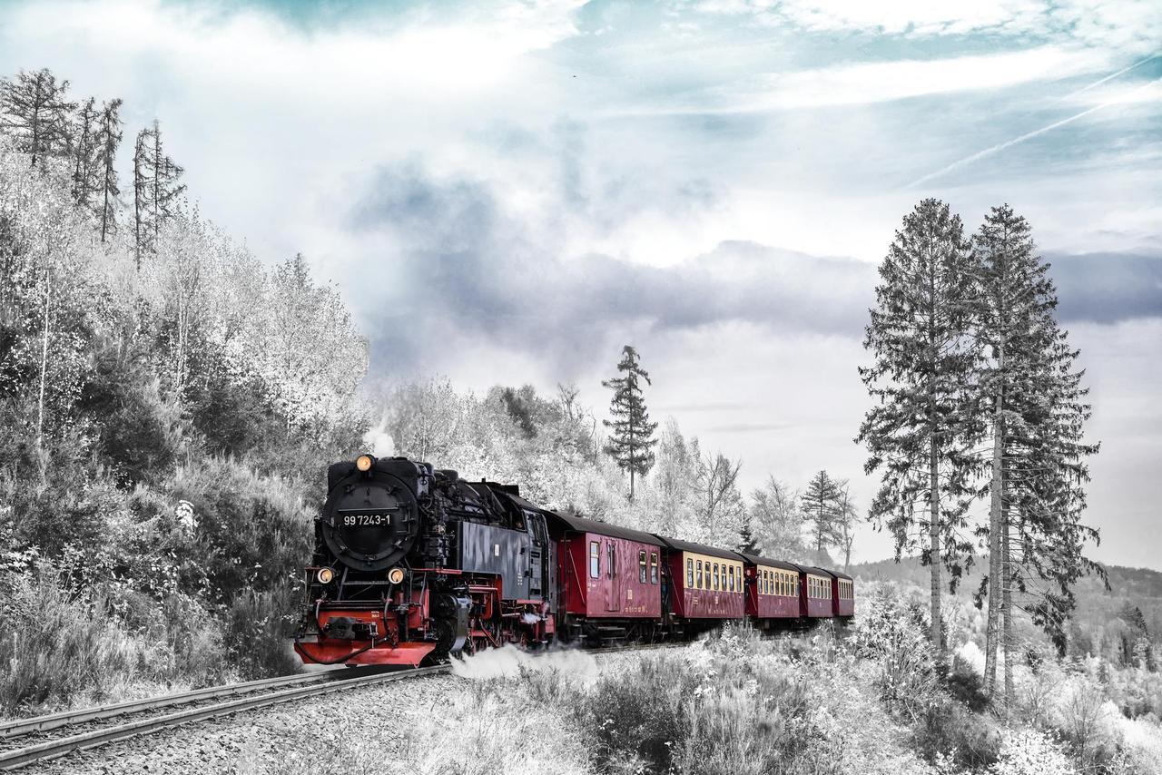 Картина на полотні "Потяг" (R223)