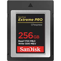 Карта памяти SanDisk 256GB CFexpress Extreme Pro (SDCFE-256G-GN4NN)