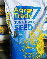 Насіння соняшника Ласса (Євролайтнінг)