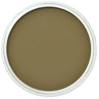 PanPastel Панпастель - 270.1 Yellow Oxide (Ochre) Extra Dark