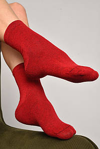 Шкарпетки жіночі демісезонні бордового кольору розмір 35-41 172787P
