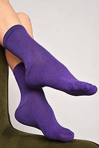 Шкарпетки жіночі демісезонні фіолетового кольору розмір 36-40 172861P