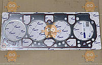 Прокладка ГБЦ МТЗ двигун Д-245 ЄВРО-2, 3 з герметиком (головки блоку циліндрів) (вр-во Tempest) ПД 288429