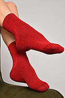 Носки женские демисезонные бордового цвета размер 35-41 172787T Бесплатная доставка