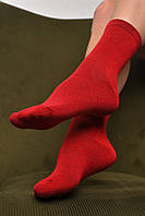 Носки женские демисезонные бордового цвета размер 36-40 172865T Бесплатная доставка