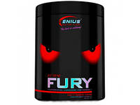 Fury Extreme Genius Nutrition (400 грамм)