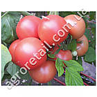 Томат Хапінет F1 10 шт Beste Kern, фото 2