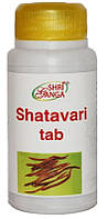 Шатавари Шри Ганга, Shatavari Shri Ganga, 120 таб, женское здоровье
