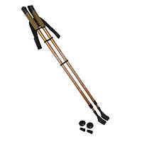 Палиці для скандинавської ходьби SNS