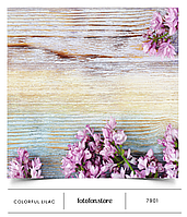 Вініловий фотофон Colorful Lilac