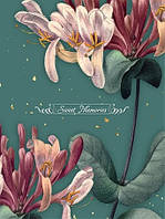 Фотоальбом "UFO" №PP-46200 10х15х200 Astreya(24)