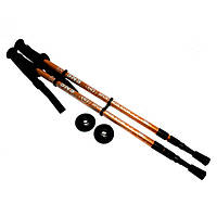 Палиці трекінгові SNS