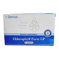 Хлорофилл Форте Сантегра (Chlorophyll Forte GP) Santegra, 30 капсул