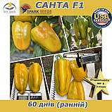 Перець жовтий Санта F1  (проф пакет 500 насінин) ТМ Spark Seeds (США), фото 2