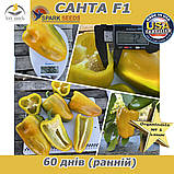 Перець жовтий Санта F1  (проф пакет 500 насінин) ТМ Spark Seeds (США), фото 4