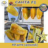 Перець жовтий Санта F1  (проф пакет 500 насінин) ТМ Spark Seeds (США), фото 4