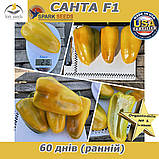 Перець жовтий Санта F1  (проф пакет 500 насінин) ТМ Spark Seeds (США), фото 5