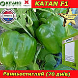 Перець червоний кубоподібний КАТАН F1, ТМ Kitano Seeds (Нідерланди), фото 3