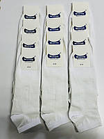Носки женские Master Демисезонные х/п Набор женских носков Белые носки для женщин
