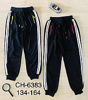 Спортивные штаны на мальчика оптом, S&D, 134-164 см, № CH-6383