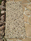 Кам'яний килим. Золотий берег. Середня Галька., фото 5