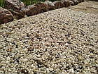 Кам'яний килим. Золотий берег. Середня Галька., фото 6