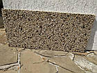 Кам'яний килим. Золотий берег. Середня Галька., фото 7