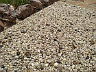 Кам'яний килим. Золотий берег. Середня Галька., фото 9