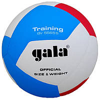 Мяч волейбольный Training Gala BV5565S №5, Toyman