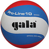 Мяч волейбольный Pro-Line 12 FIVB Gala BV5595S № 5, Time Toys