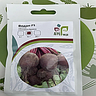 Насіння буряка Водан F1 Bejo Zaden Бейо, Голландія - - 10г (Агро Імідж), фото 2