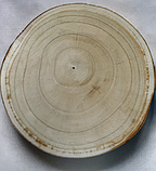 Павловнія комплект насіння 2 в 1, войлочна + гібрид Шан Тонг (ShanTong) (2500 + 1000 шт) морозостійка швидкоростуча набор, фото 6