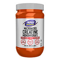 Creatine Monohydrate - 500g