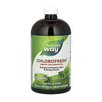 Nature's Way Chlorofresh Liquid Chlorophyll (473 ml, mint)