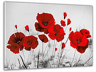 Картина на холсте на стену для интерьера/спальни/офиса DK Красные маки 60x100 см (MK10159_M)